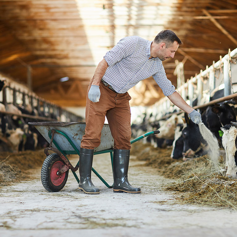 Berufsbild Landwirt/in EFZ – Schwerpunkt Biolandbau - gateway.one