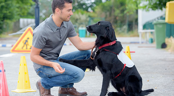 Istruttore/trice di cani guida per ciechi EPS